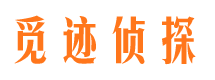 河池市私家侦探